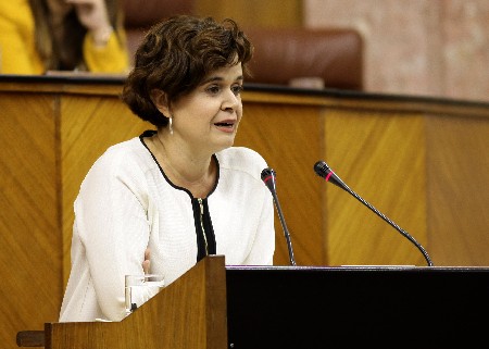 Esperanza Gmez, portavoz adjunta del Grupo Podemos