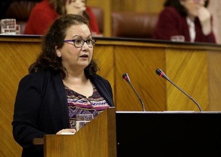 Mara Carmen Prieto, diputada del Grupo parlamentario Ciudadanos