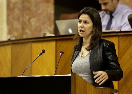 La diputada del Grupo Popular Ana Vanessa Garca interviene ante el Pleno