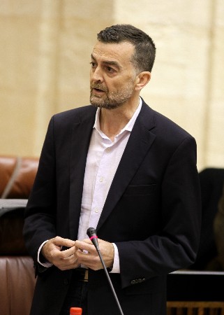 El portavoz del Grupo parlamentario IULV-CA, Antonio Mallo, interviene en la sesin de control