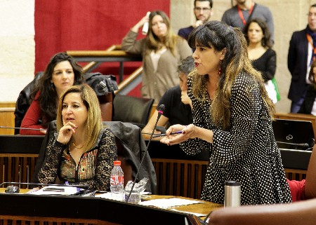 Teresa Rodrguez, portavoz del Grupo parlamentario Podemos, durante su pregunta a la presidenta de la Junta de Andaluca