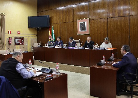 La Comisin de Cultura asiste a la intervencin del presidente de la Cmara de Cuentas, Antonio Lpez