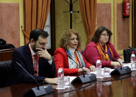 Representantes del Ayuntamiento de Sevilla, ante la Comisin
