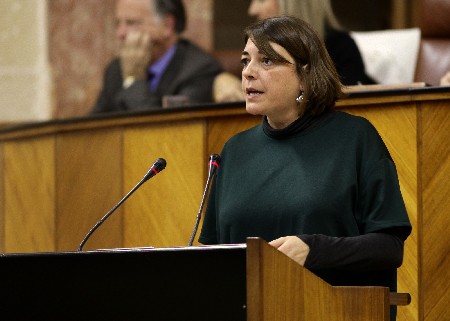 Elena Corts, portavoz del Grupo parlamentario IULV-CA en la Comisin de Investigacin
