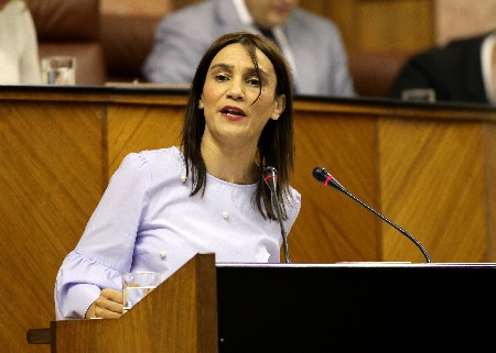 La diputada del Grupo Socialista Olga Manzano interviene ante el Pleno