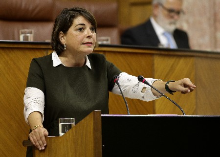 Elena Corts presenta al Pleno la  Proposicin de Ley de la Cmara de Cuentas de Andaluca del Grupo IULV-CA 