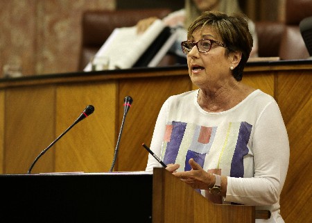 Marisa Bustinduy, del Grupo parlamentario Socialista