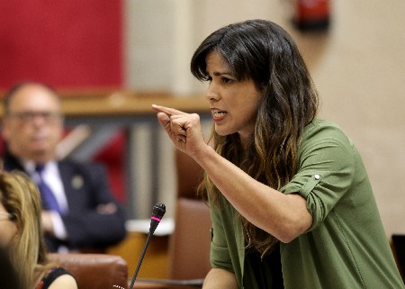 La portavoz del Grupo Podemos, Teresa Rodrguez, en la sesin de control
