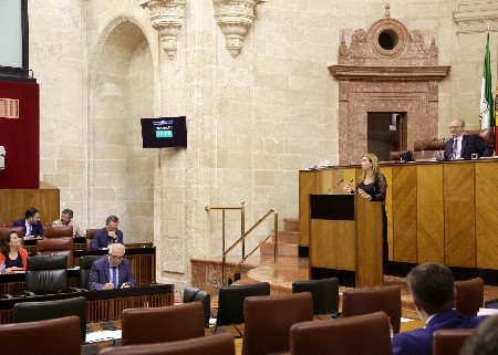 Teresa Ruiz-Sillero, del Grupo Popular, presenta al Pleno una mocin sobre polticas activas de empleo