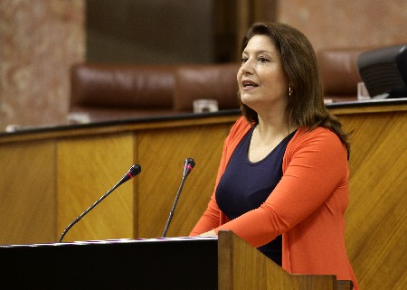 La portavoz del Grupo Popular, Carmen Crespo, presenta al Pleno una proposicin no de ley