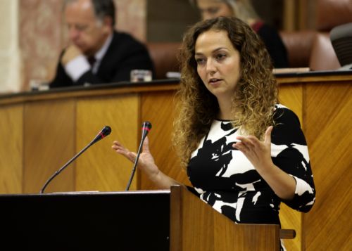Marta Escriv, del G.p. Ciudadanos interviene ante el Pleno de la Cmara