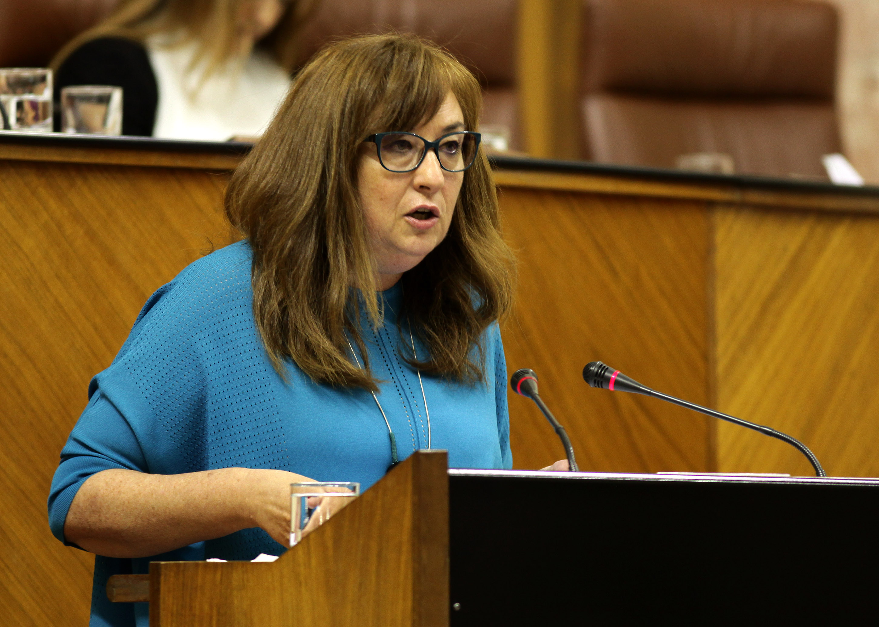 Soledad Prez, del Grupo Socialista, defiende una proposicin no de ley ante el Pleno