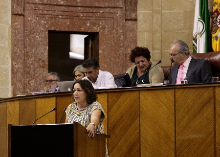 Mara del Carmen Prez, del Grupo IULV-CA, interviene en uno de los debates de la jornada