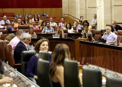 La portavoz del Grupo Podemos pide la palabra al comienzo del Pleno
