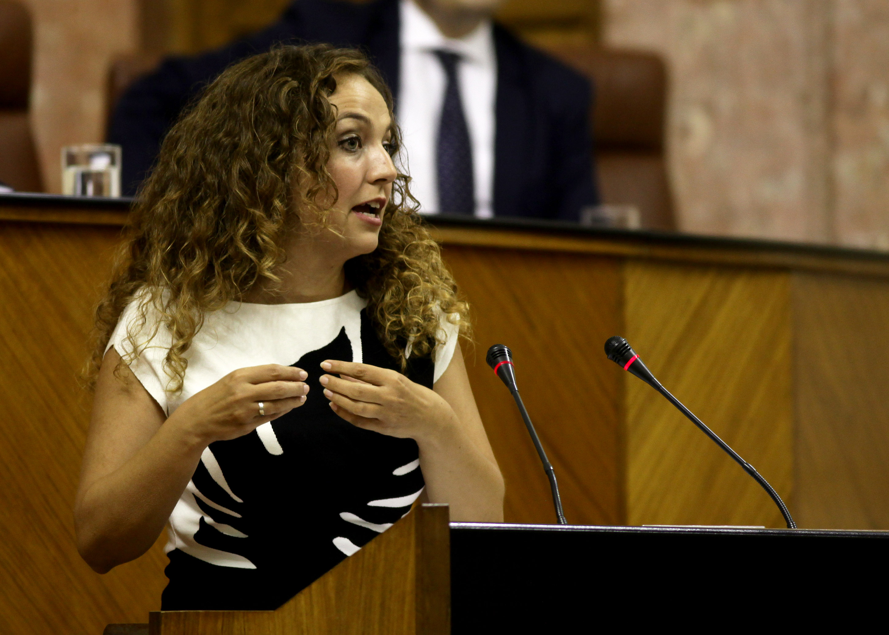 Marta Escriv presenta al Pleno una mocin del Grupo Ciudadanos sobre infraestructuras educativas