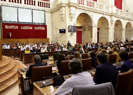 El Pleno del Parlamento, en la votacin final del proyecto de Ley de Derechos y Atencin a las Personas con Discapacidad en Andaluca