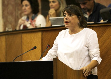 Elena Corts, del Grupo parlamentario IULV-CA