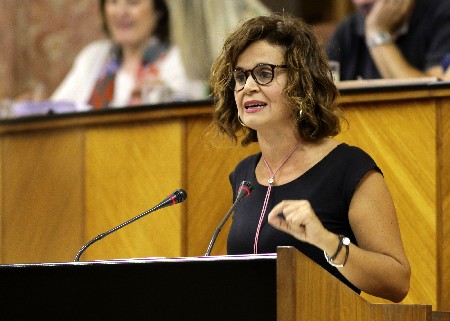 Esperanza Gmez, del Grupo parlamentario Podemos