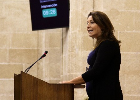Carmen Crespo, portavoz del Grupo parlamentario Popular, en el debate de la proposicin presentada por el Grupo Ciudadanos