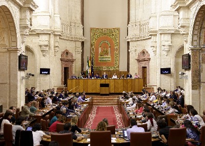 El Pleno del Parlamento, en una de las votaciones de la jornada