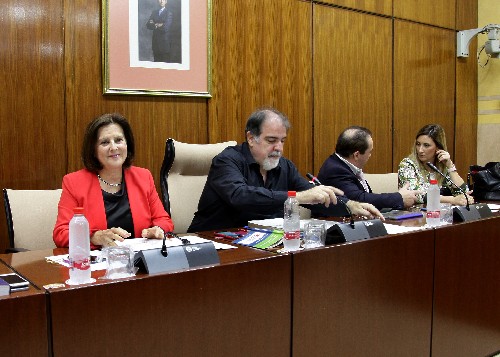 La consejera de Igualdad, Mara Jos Snchez Rubio, se dispone a presentar el presupuesto de su consejera en comisin
