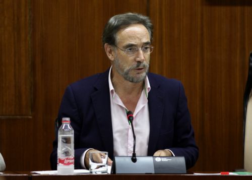 Felipe Lpez, consejero de Fomento y Vivienda, expone los presupuestos de su consejera