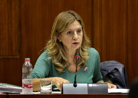 La consejera de Salud, Marina lvarez, presenta en comisin los presupuestos de 2018 relativos a su departamento