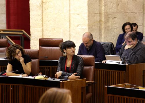 La portavoz del Grupo Parlamentario de Podemos, Teresa Rodrguez, durante la sesin