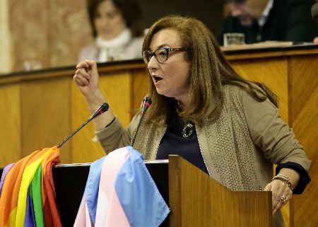 Soledad Prez, del Grupo Socialista, en el debate final de la proposicin de ley de derechos de las personas LGTBI