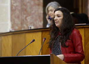 Libertad Bentez, diputada del Grupo Podemos, plantea una interpelacin sobre educacin