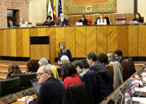 El Pleno del Parlamento, durante una de las intervenciones de la presidenta de la Junta, Susana Daz, en la sesin de control