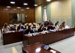 La Comisin de Igualdad, durante el debate de una proposicin no de ley sobre la huelga del 8 de marzo