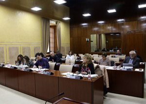 La Comisin de Educacin, durante el debate de las proposiciones no de ley