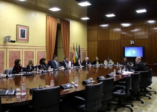La Comisin de Cultura asiste a las comparecencias en relacin con el Proyecto de Ley del Cine en Andaluca