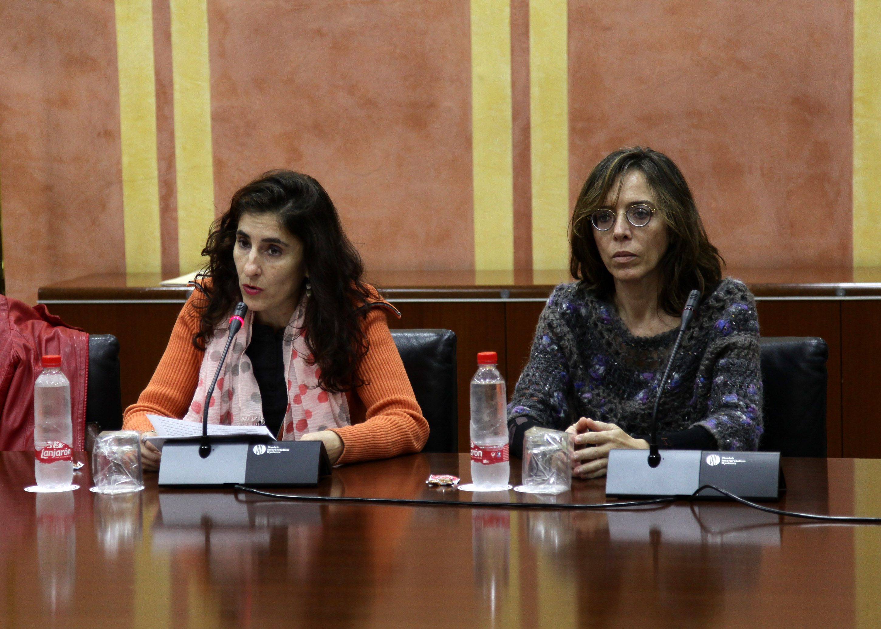 Ana Rosa Fernndez y Ana M Ruiz comparecen en representacin de la Asociacin Andaluza de Mujeres de los Medios Audiovisuales (AAMMA)