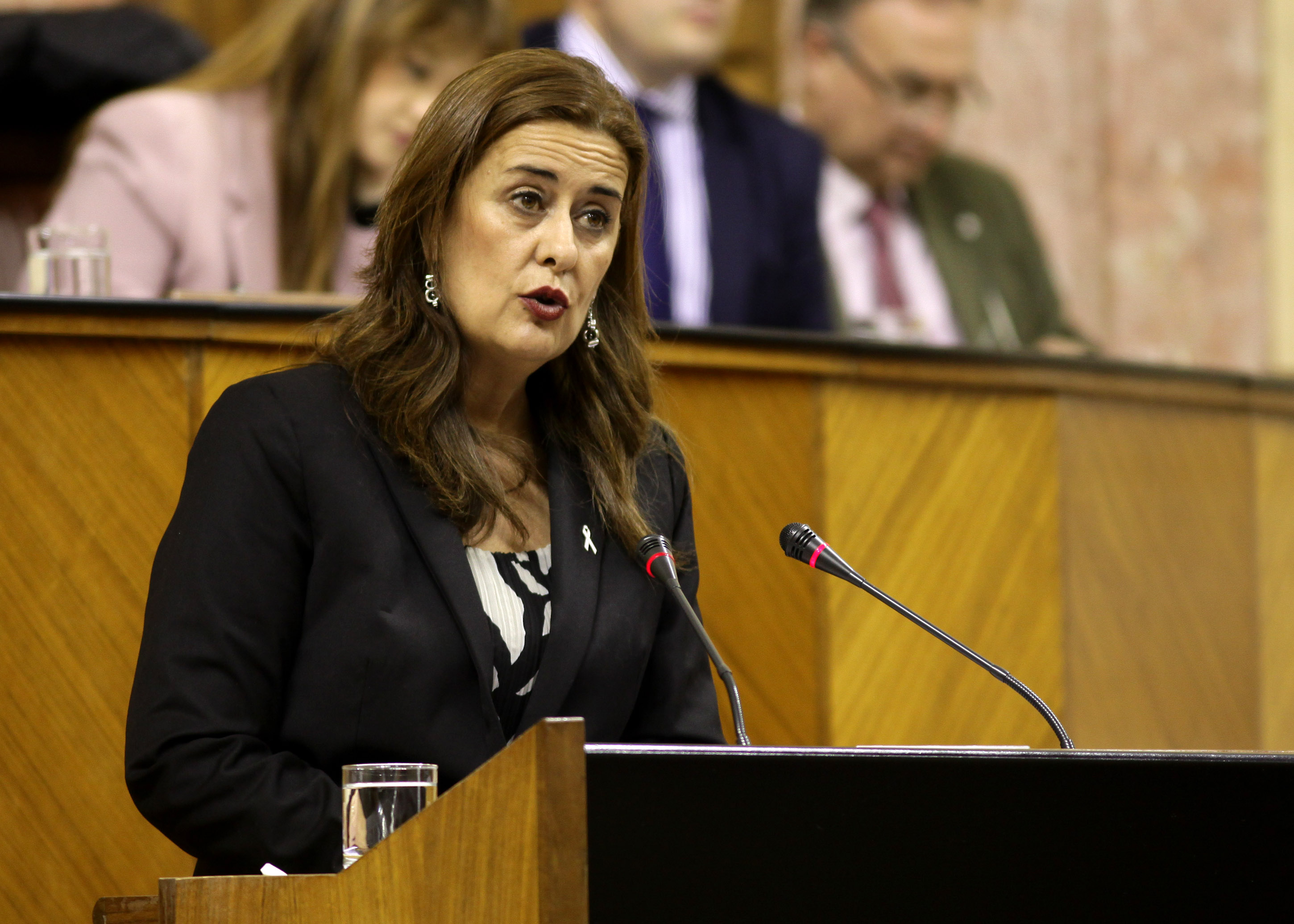 La consejera de Educacin, Sonia Gaya, presenta al Pleno el proyecto de Ley de Formacin Profesional de Andaluca