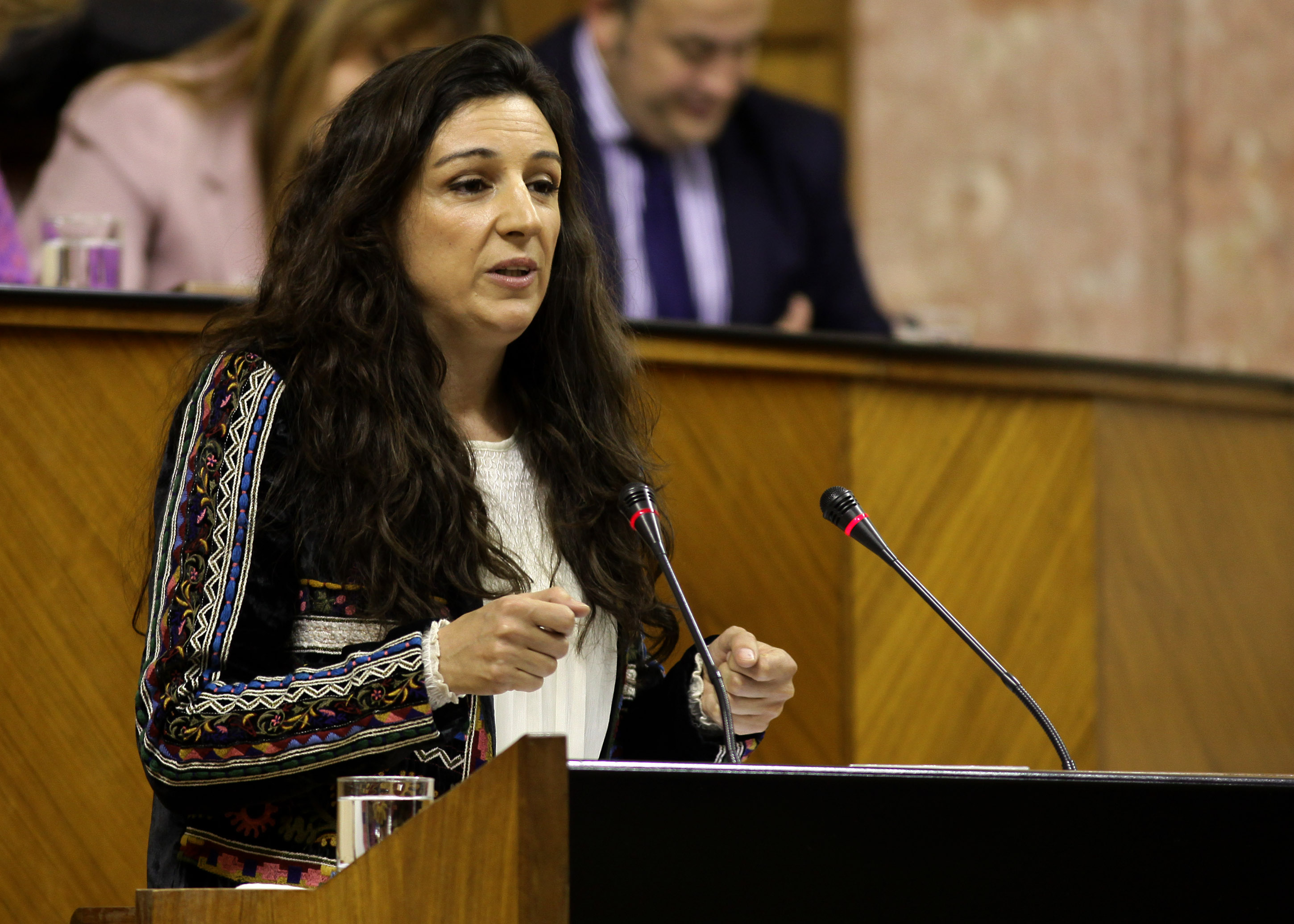 La diputada del Grupo Podemos Libertad Bentez presenta una enmienda a la totalidad del proyecto de Ley de Formacin Profesional