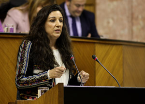 La diputada del Grupo Podemos Libertad Bentez presenta una enmienda a la totalidad del proyecto de Ley de Formacin Profesional