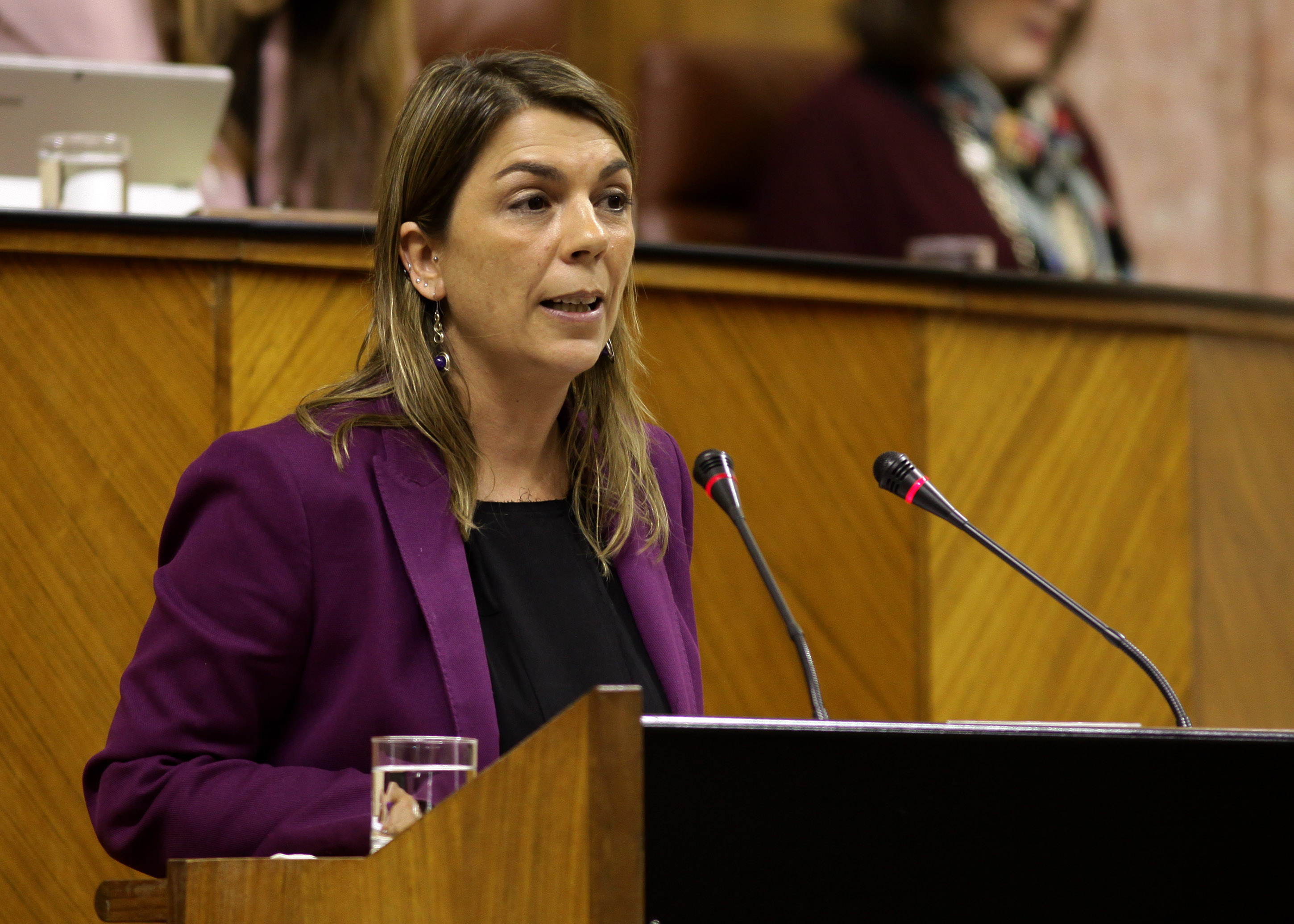 Begoa Gutirrez, del Grupo Podemos, presenta la enmienda a la totalidad del proyecto de modificacin de la Ley de medidas de prevencin y proteccin integral contra la violencia de gnero