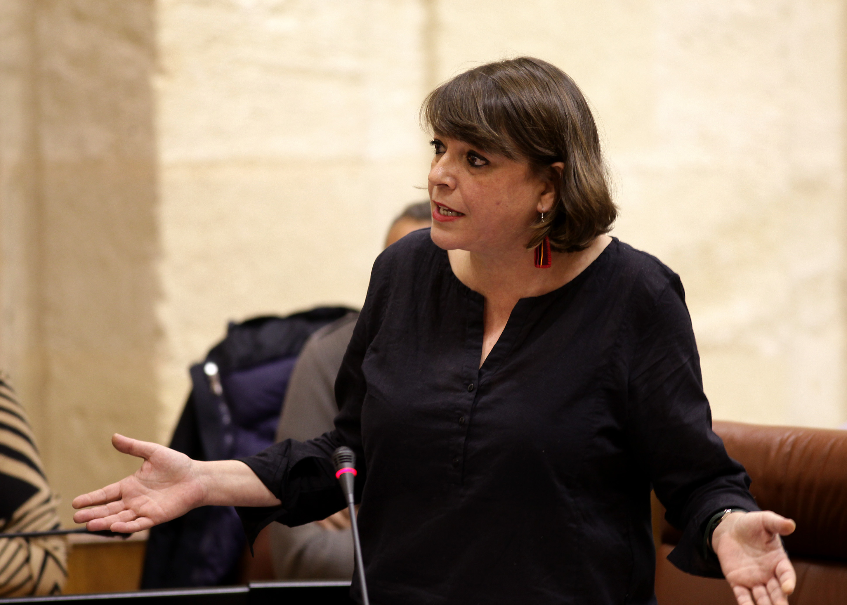 Elena Corts formula su pregunta a la presidenta en nombre del Grupo parlamentario de Izquierda Unida