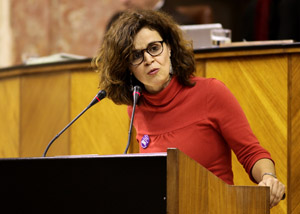 Esperanza Gmez, del Grupo Podemos, presenta una proposicin no de ley sobre igualdad retributiva entre hombres y mujeres