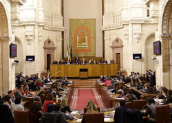 El Pleno, en una de las votaciones de la jornada