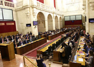El Saln de Plenos acoge la Simulacin del Parlamento de Andaluca, con estudiantes de universidades andaluzas