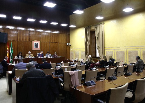 La Mesa y los diputados y diputadas de la Comisin de Economa y Conocimiento en un momento de la intervencin del consejero