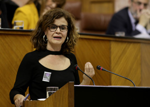 Esperanza Gmez, del Grupo parlamentario Podemos, defiende la toma en consideracin de una proposicin de Ley de modificacin de la Ley del Gobierno