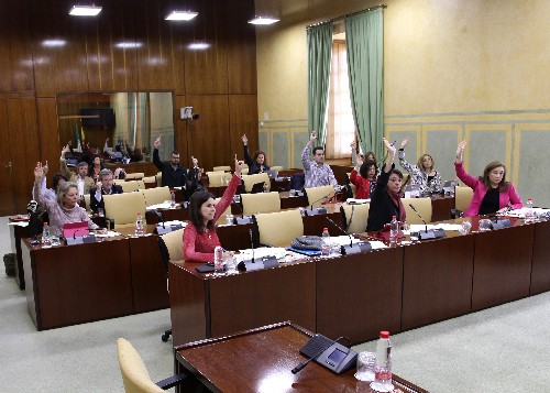 La comisin de Igualdad y Polticas Sociales durante una de las votaciones
