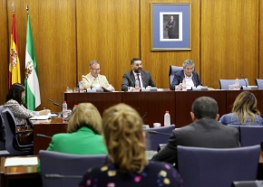 La Comisin de Turismo y Deporte, durante la comparecencia del consejero del ramo, Javier Fernndez