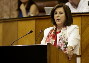  La consejera de Igualdad, Mara Jos Snchez Rubio, presenta al Pleno el proyecto de Ley de Juventud de Andaluca