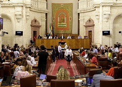 El Pleno del Parlamento vota la designacin de Antonio Sanz como senador en representacin de la Comunidad Autnoma 
