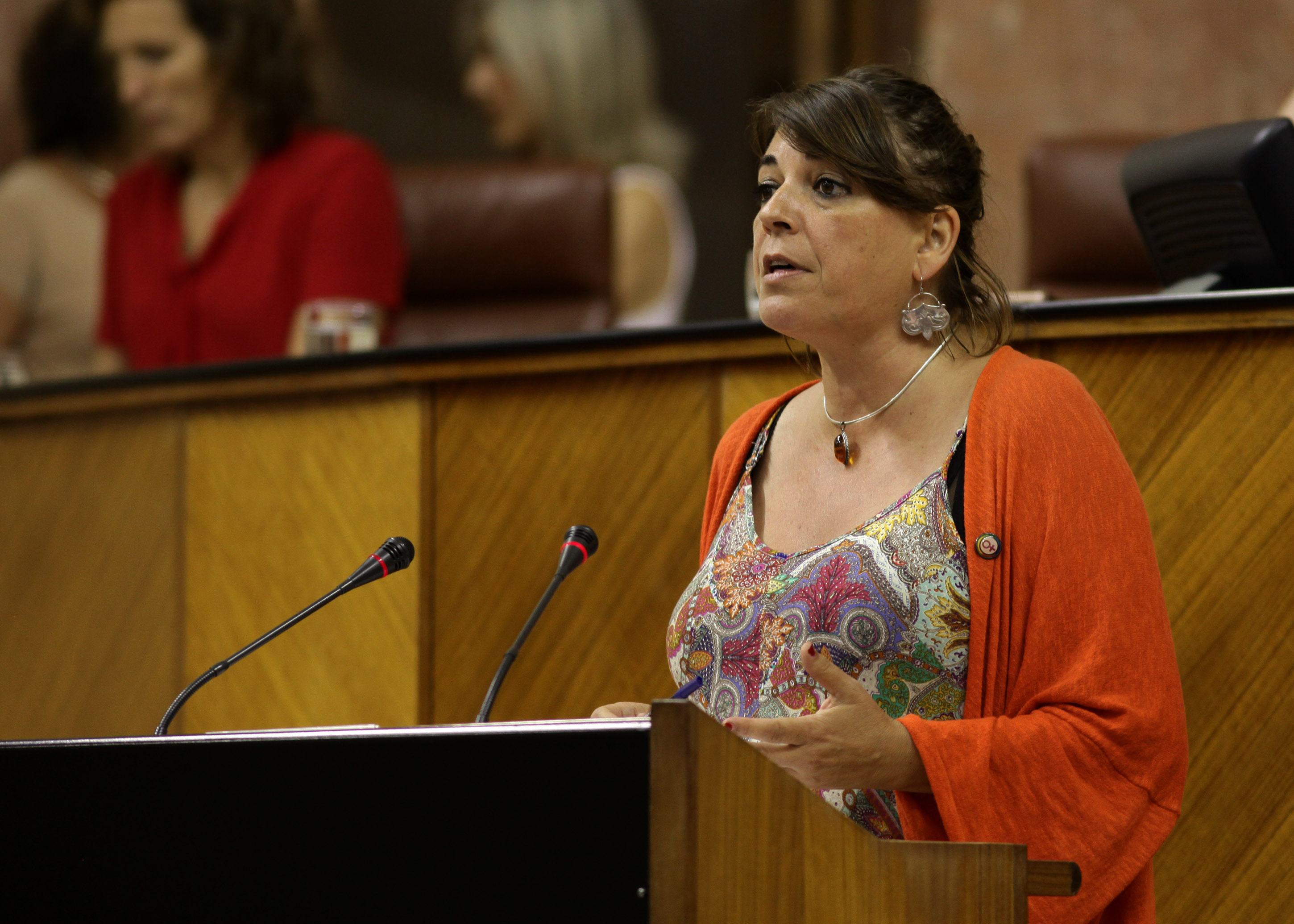  Elena Corts, del Grupo IULV-CA, interviene ante el Pleno